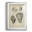 Étude de coquillage rétro II, impression sur papier-307313164-307313167