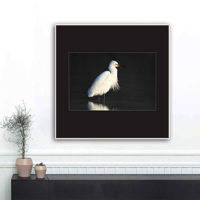 H04 A Bird debout, reproduction sur toile, Blanc, H 16 po x l 16 po x P 1,5 po