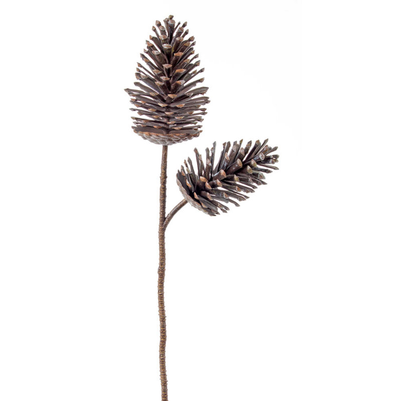 Vaporisateur de pin conique