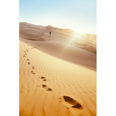 Uae by Pixalot - Wrapped Canvas Print