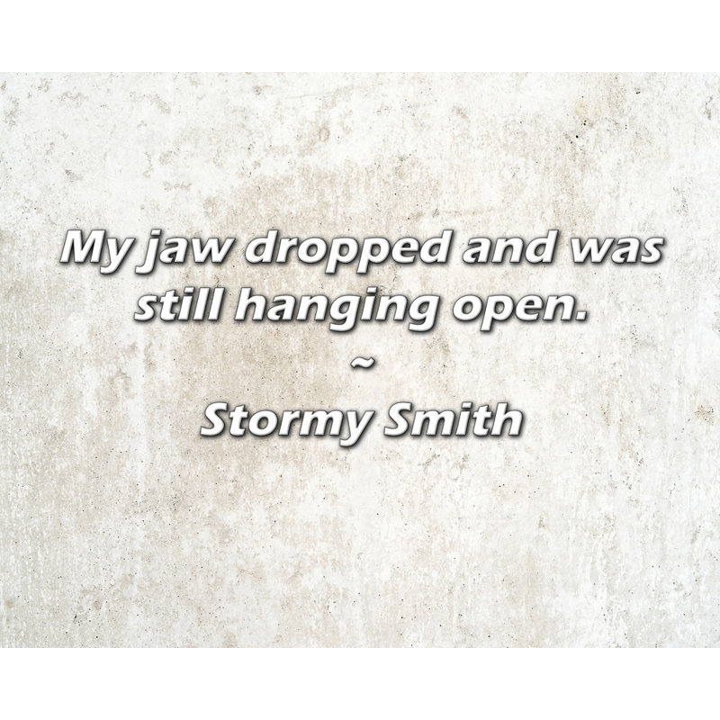 Citation de Stormy Smith: Ma mâchoire est tombée et était toujours ouverte., H 20 po x l 24 po