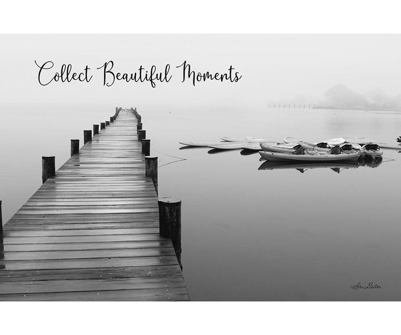 Beachcrest Home™ Deiter, Lori Gallery Wrapped Canvas Art Titled: Collect Beautiful Moments