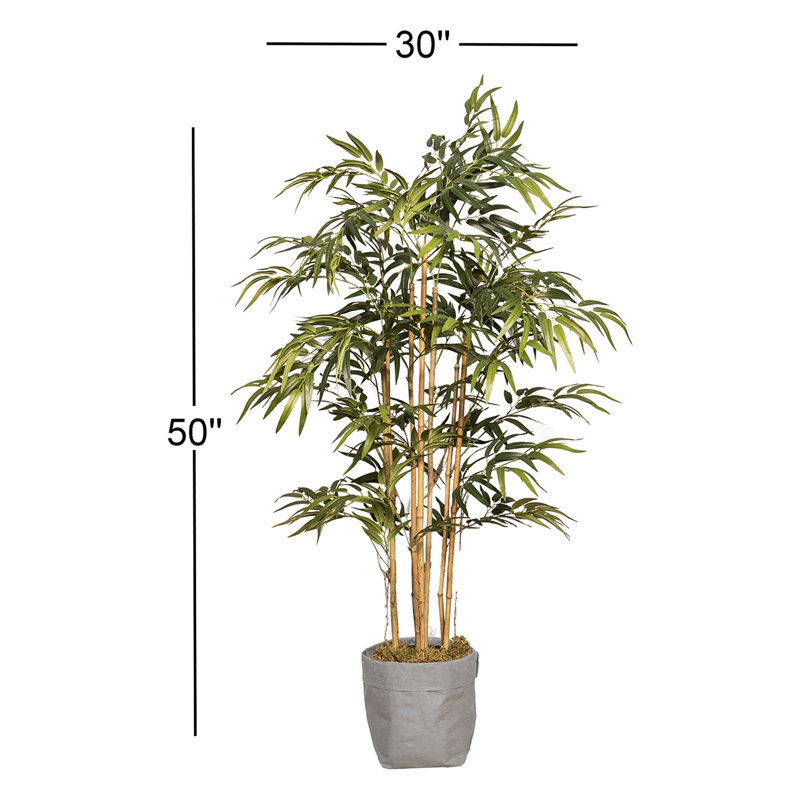 Faux bambou 50 po Panama