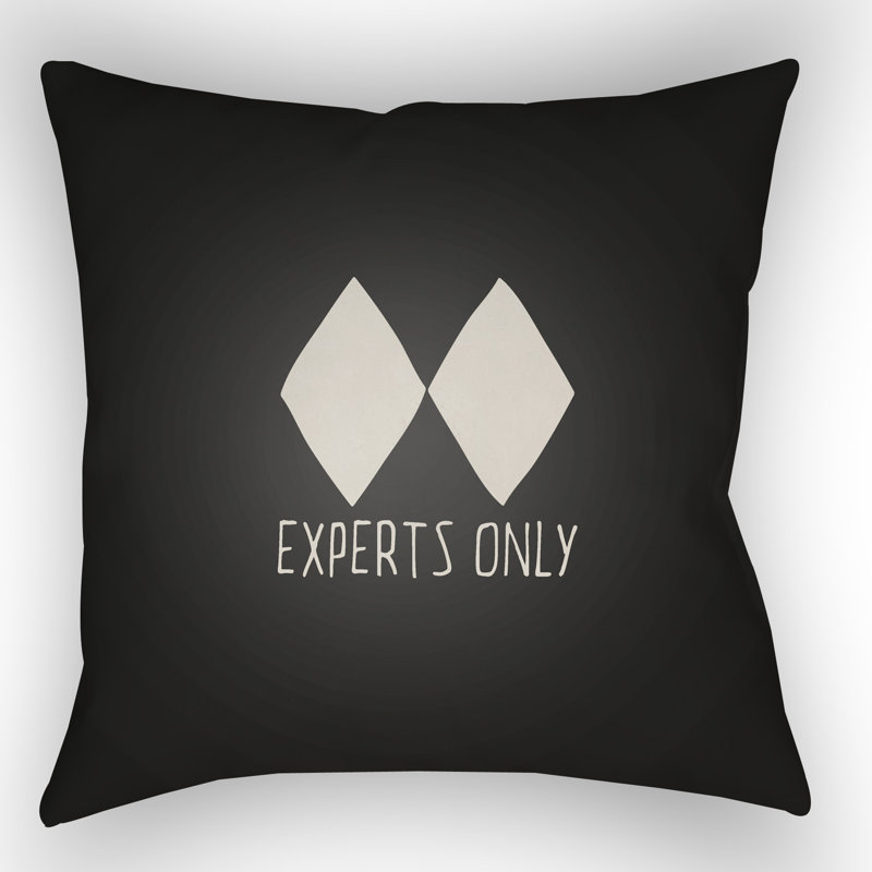 Indoor/Outdoor Throw Pillow, Black, 18" H x 18" W x 4" D