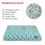 Coussin Links Orthopedic-35291525-35291523