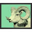 Graphic Sheep 2 Print