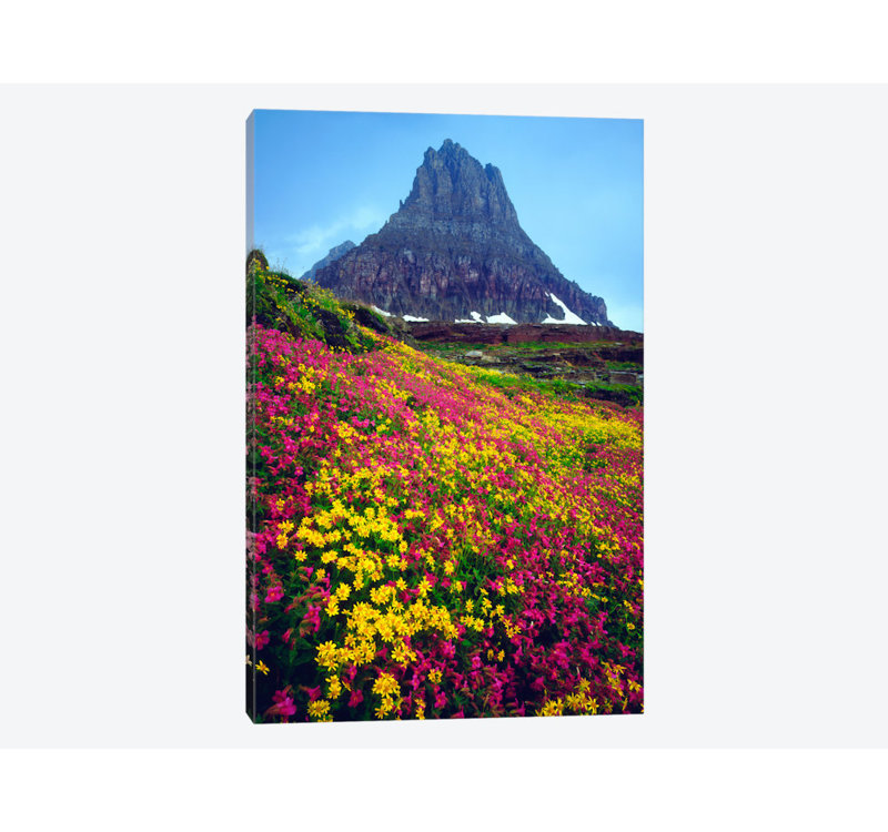 « summer landscape », reproduction de photo sur toile, H 40 po x l 26 po x P 1,5 po, Pas de tapis, Toile tendue