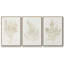 Coral Blockprint I - Ensemble de 3 reproductions de cadres photo sur toile-97754098-97754097