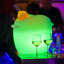 Fresh Champagne Bucket-304985346