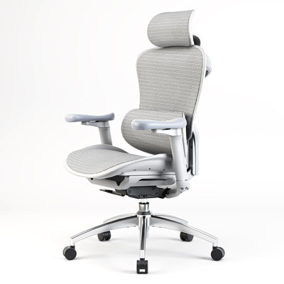 Ergonomic Office Chair with 3D Armrests, Dynamic Lumbar Support