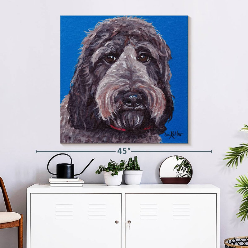 Crowle Labradoodle, 33" H x 33" W