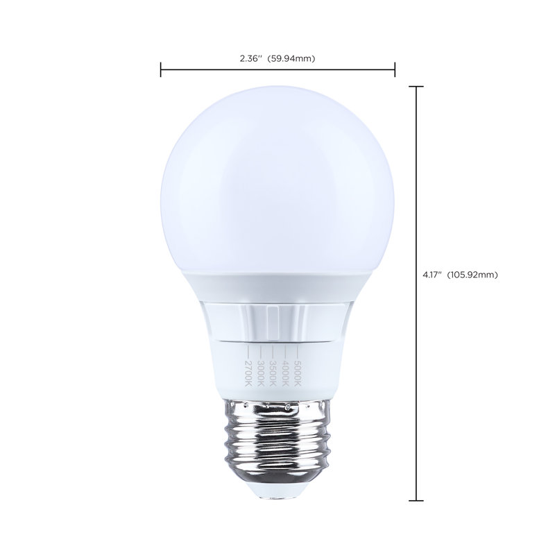 Ampoule DEL A19 6 W - Température de couleur : 27 000 K/30 000 K/35 000 K/40 000 K/50 000 K - IRC : 90 - Culot moyen - Plastique - Intensité variable - 120 V