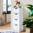 Accent Chest