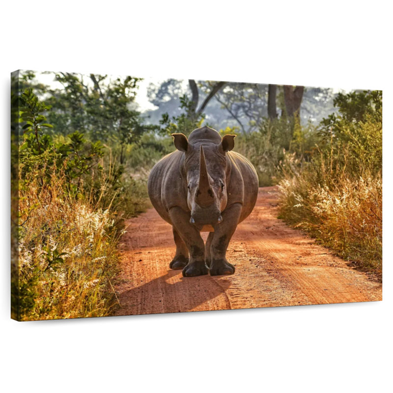 Rhino Brampt Safari, H 34 po x l 51 po