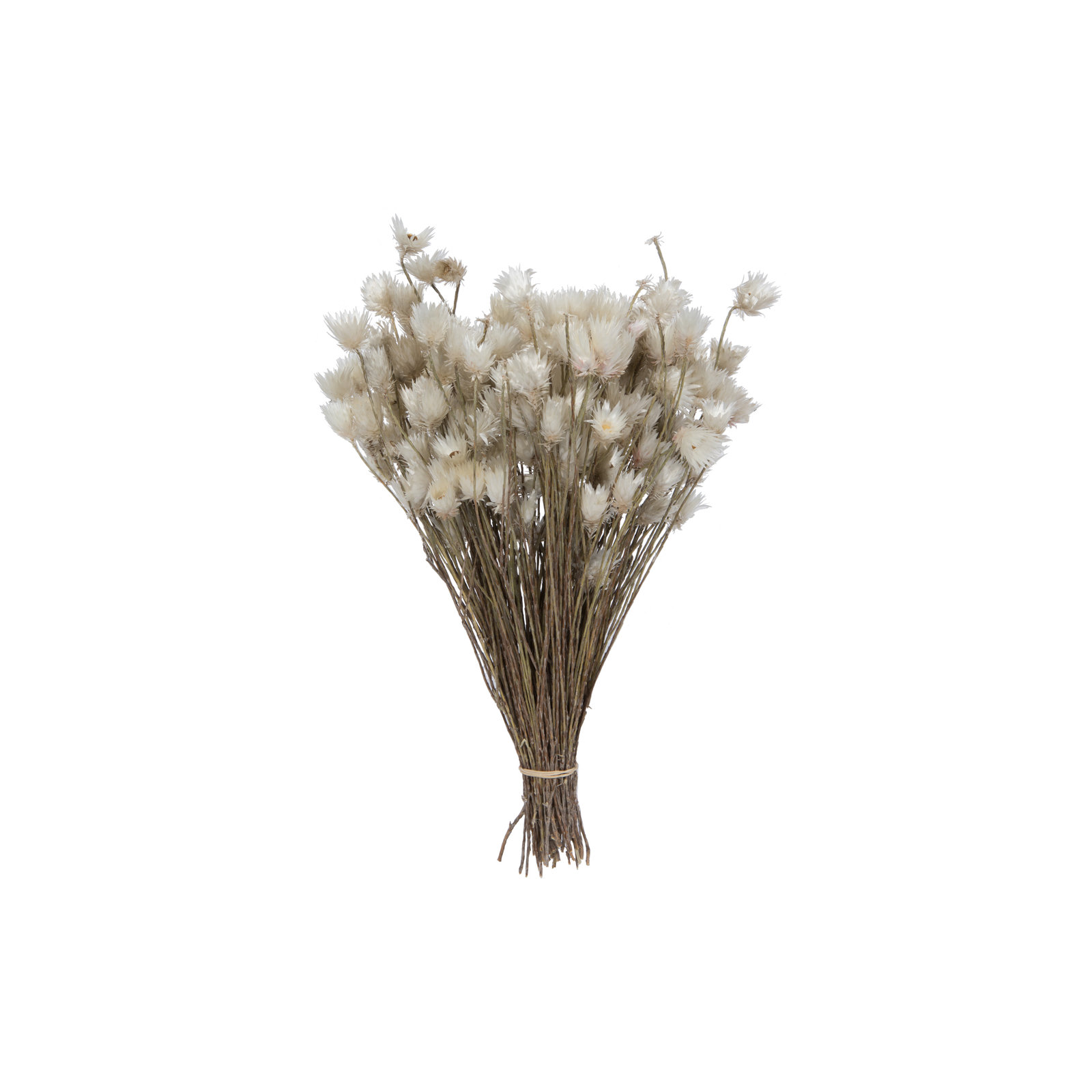 Vickerman Natural Centerpiece