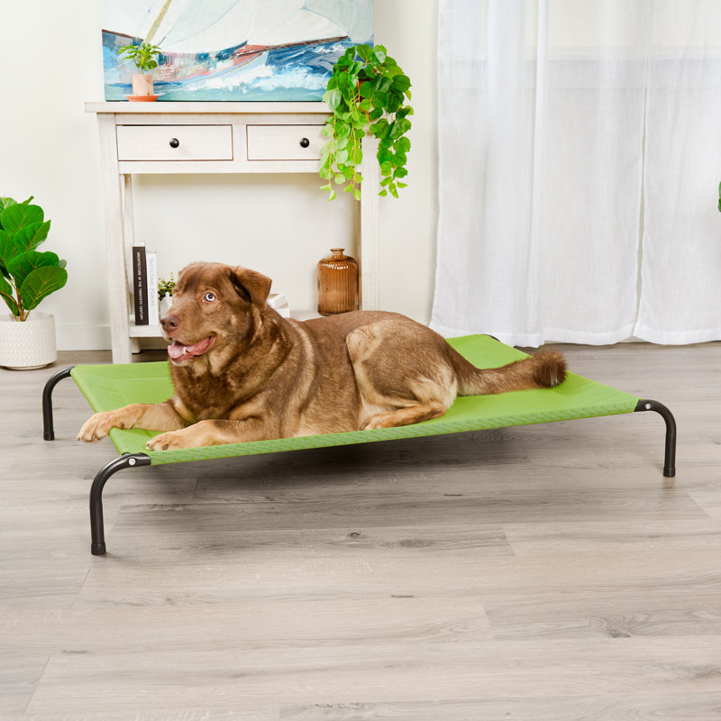 Elevated Cot Pet Bed, Green, 8" H x 36" W x 54.5" D
