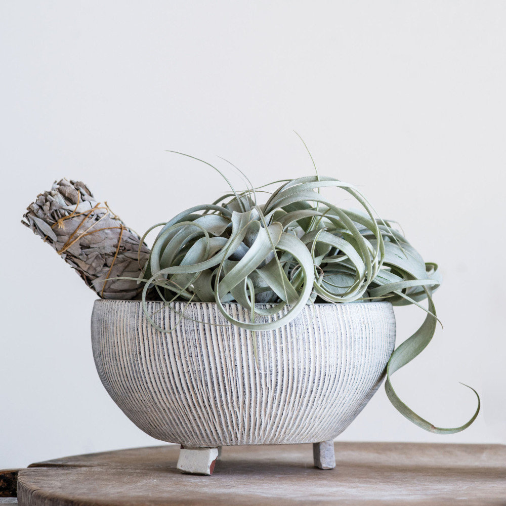 Hyslop Round Terra-cotta Footed Planter with Textured Stripes Dakota Fields