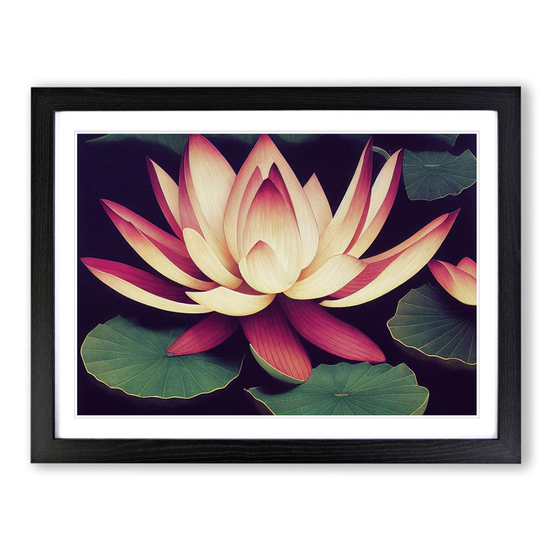 Marvellous Lotus Flower - Single Picture Frame Painting, Black, 46cm H x 64cm W x 2cm D