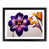Black Framed selected