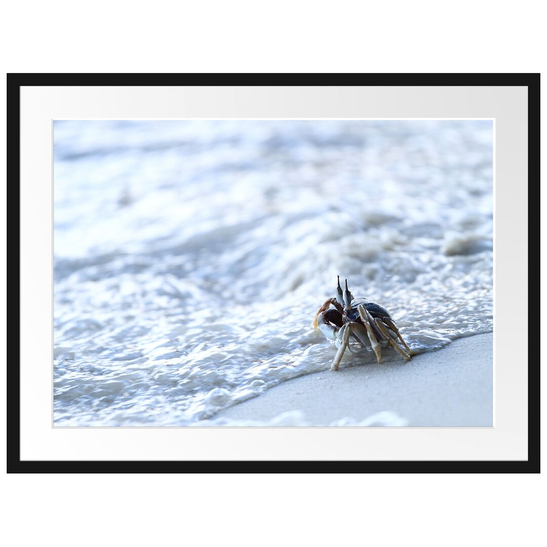 Gerahmtes Poster Kleine Krabbe am Strand