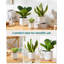 HDHPOT Ceramic Pot Planter-1607730066