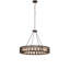 24 - Light Chandelier