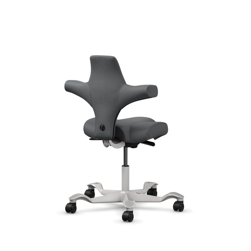 Chaise à hauteur standard réglable HœG Capisco, Argent argent, Standard, Gray Dove