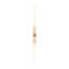 Flush Mounted Sconce Fly Ap