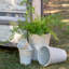 Planter-15159676