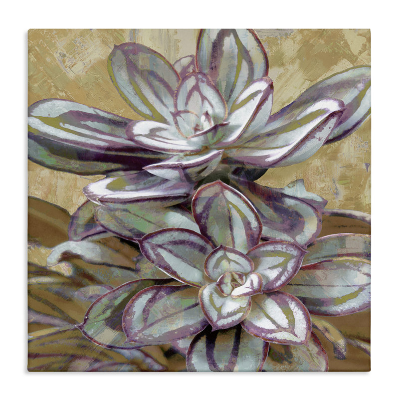 «Rustic Desert Succulents», art mural sur toile par Lindsay Benson, H 17 po x l 17 po