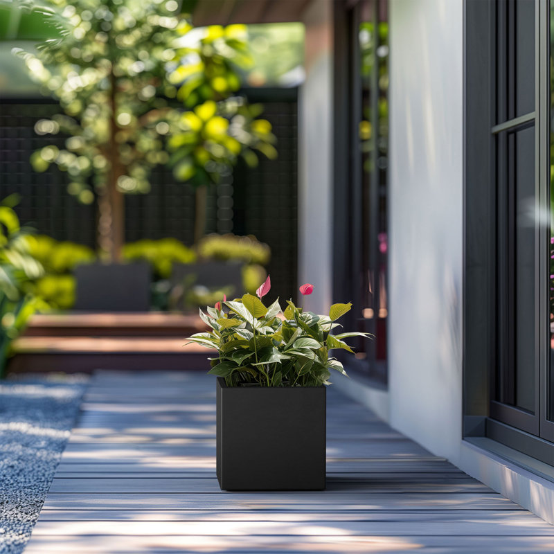 Boîte à fleurs en béton Redegonda, H 10 po x l 10 po x P 10 po, Noir anthracite