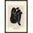 Black Framed Paper selected