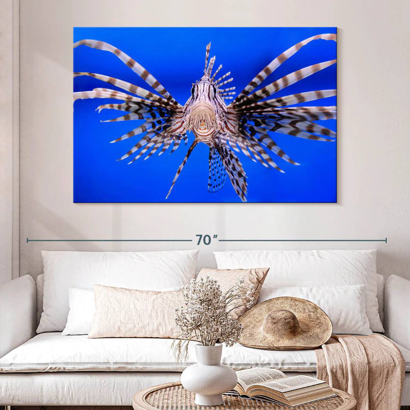 Crowle Lionfish Close Up, 34" H x 51" W