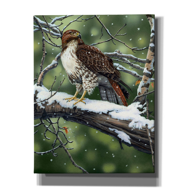 «Red Tailed Hawk» par William Vanderdasson, H 34 po x l 26 po x P 1,5 po