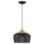 Luminaire suspendu en forme de dôme à 1 lumière Gagne 1-189802673-256500080