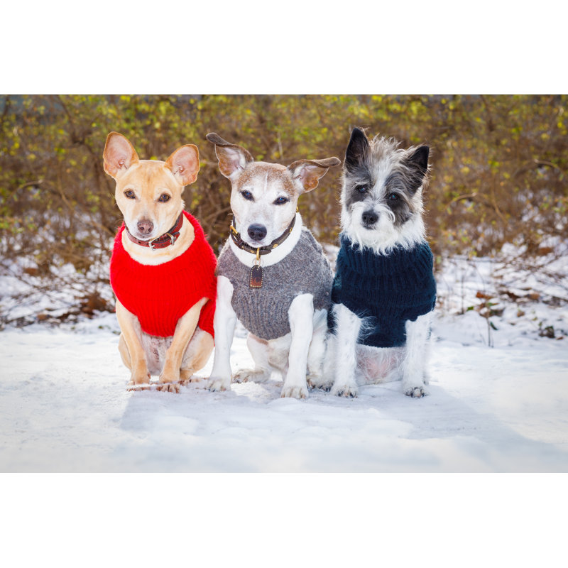 Dogs in snow 1 Piece Wrapped Canvas Wall Art, 20cm H x 30cm W