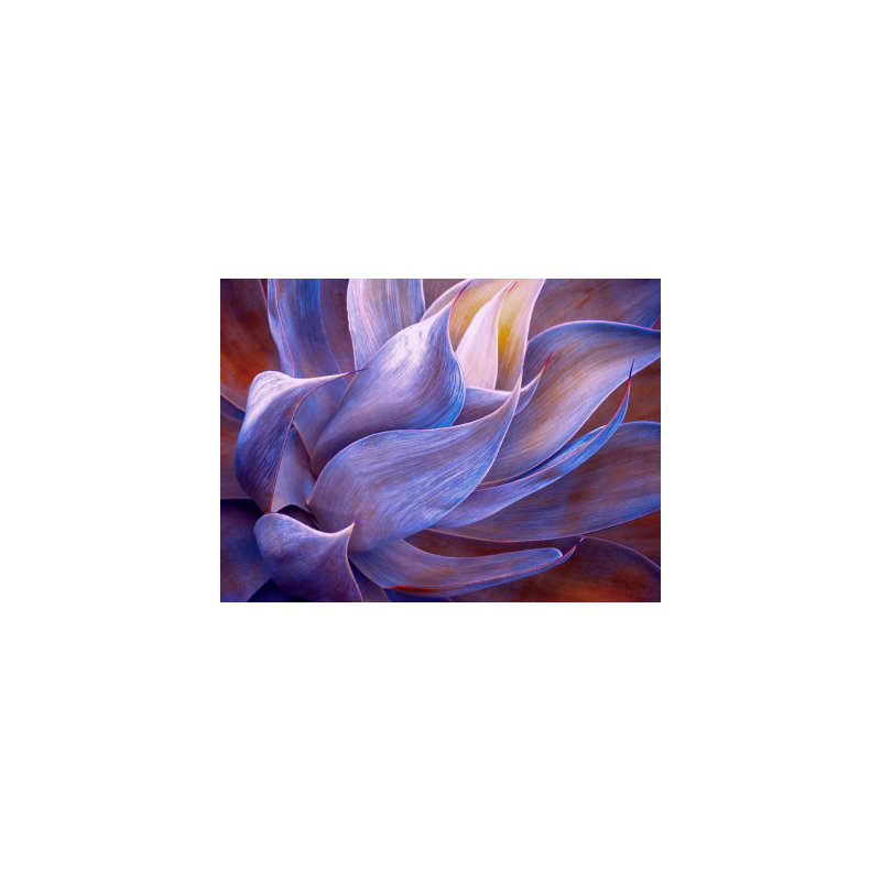 Wrapped Canvas Print, 81.28 cm H x 121.92 cm W
