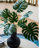 Faux Plant-1662230796-1662230835