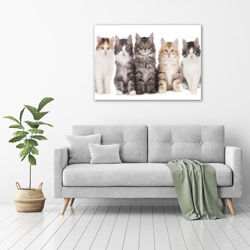 Six Cats - Wrapped Canvas Print