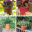 Jardinière ronde en plastique Classic Classic-1137656894-1137656895