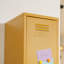 Oberdan 1 -Door 4 -Shelf Storage Cabinet-495084085