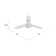 Alloy 42'' Ceiling Fan with Light Kit