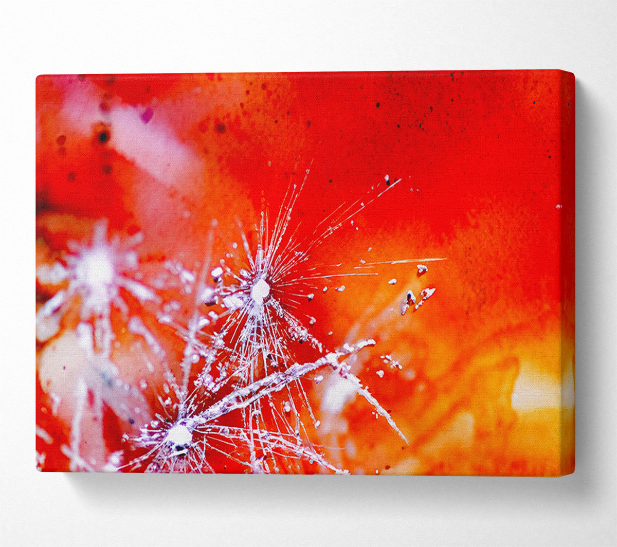 Metro Lane Fairy Lights Wrapped Canvas Art Prints Wayfair