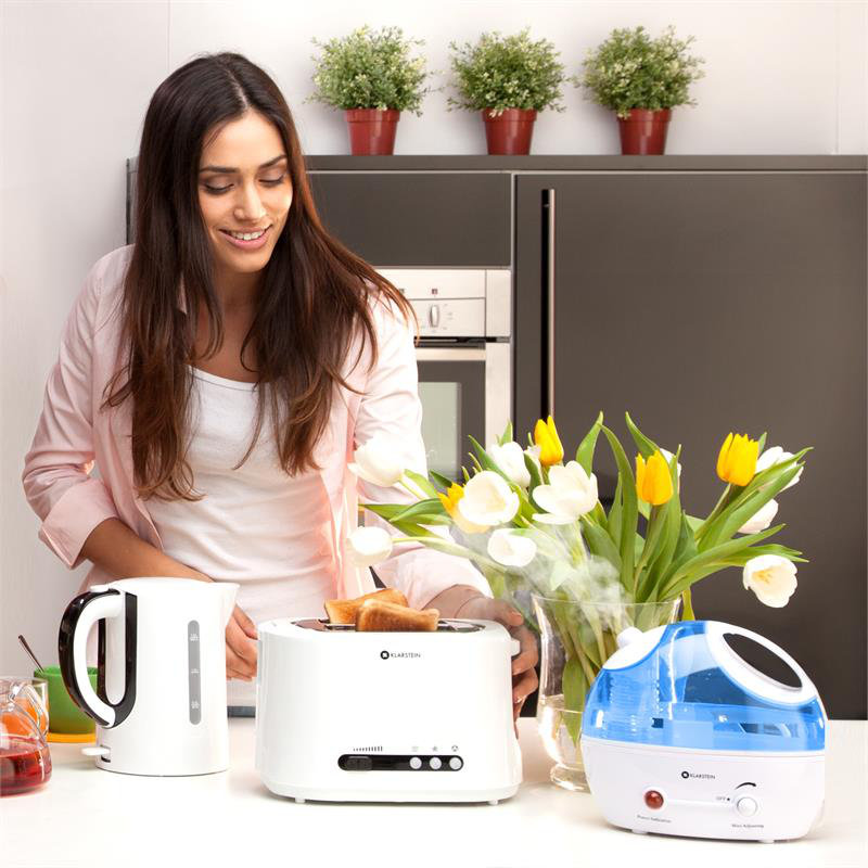 Belleville Humidifier