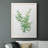 Eucalyptus III " Eucalyptus III "-123990515-123990512