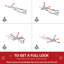 5' Artificial Pencil Christmas Tree, Slim Xmas Tree With 294 Realistic Branch Tips And Plastic Stand, Light-1001611549