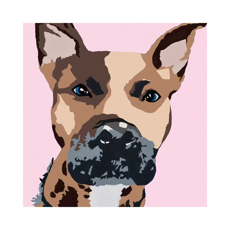 Prince The Pit On Pink by Julie Ahmad - Wrapped Canvas Print, 30.48 cm H x 30.48 cm W