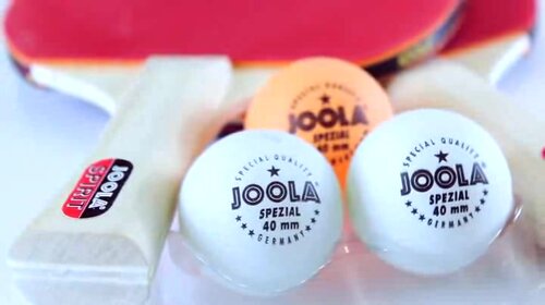 Ping Pong Carrying Joola Balls, - SPIRIT and Tennis Ball Paddles, Racket & 2 Case and 3 Includes Recreational Pong Wayfair | Reviews Set Ping Table