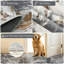 Rectangle 120 cm x 170 cm Area Rug