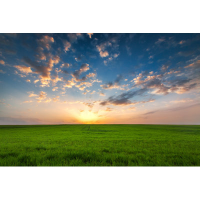 Mayamarie " Field Of Spring Fresh Green Grass " by Valio84Sl